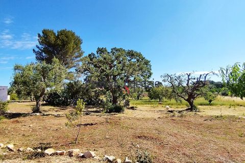 Landejendom i Carovigno, Brindisi, Carovigno - € 98.000 | Ref: 122569 - foto 23